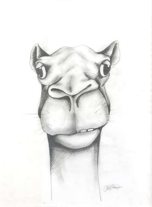 The Last Straw Sketch