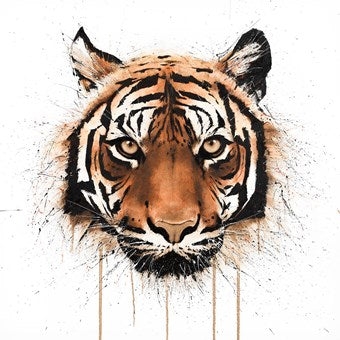 Artists – Creative Edition