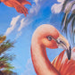 Nile Flamingo