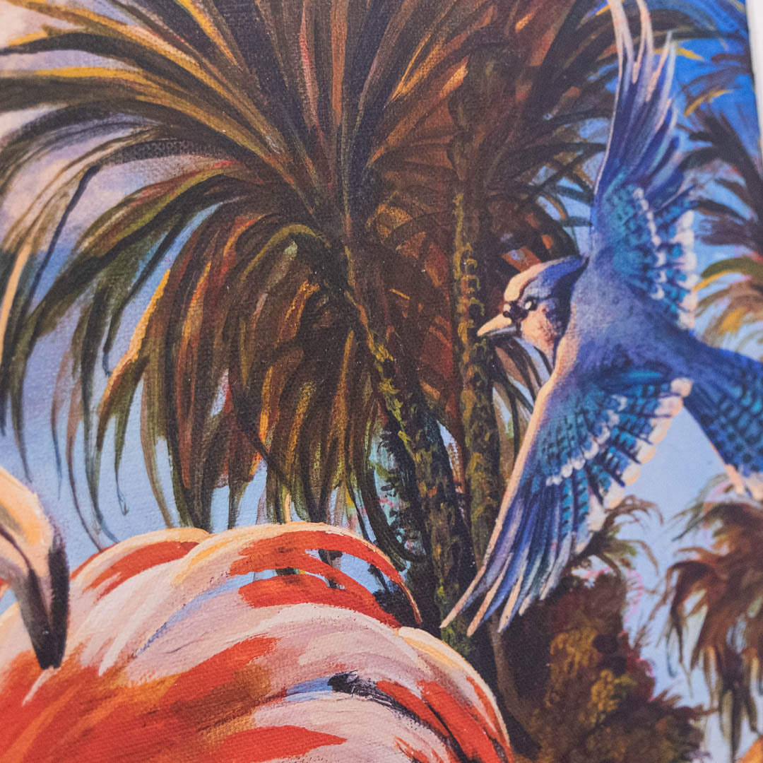 Nile Flamingo