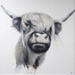 Highland Cow